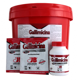 Gallimicina