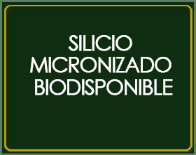 silicio micronizado biodisponible